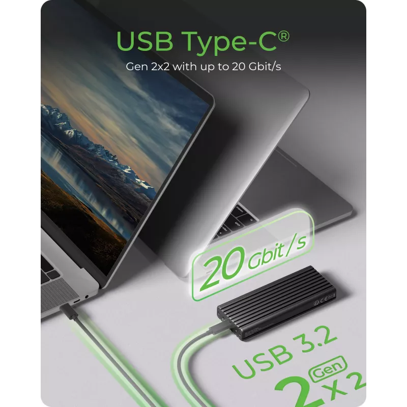 ICY BOX IB-1917M-C32a SSD-behuizing zwart M.2