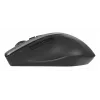 ASUS WT425 muis kantoor rechtshandig RF draadloos optisch 1600 DPI