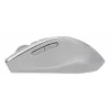 ASUS WT425 muis kantoor rechtshandig RF draadloos optisch 1600 DPI
