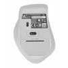 ASUS WT425 muis kantoor rechtshandig RF draadloos optisch 1600 DPI