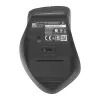ASUS WT425 muis kantoor rechtshandig RF draadloos optisch 1600 DPI
