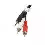 Audiokabel Lanberg CA-MJRC-10CC-0020-BK 3,5 mm RCA 2 m zwart rood wit