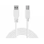 Sandberg USB 3.0 A-B-kabel 1,8 m, 1,8 m, USB A, USB B, USB 3.2 Gen 1 (3.1 Gen 1), 5 Gbit/s, wit