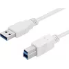 Sandberg USB 3.0 A-B-kabel 1,8 m, 1,8 m, USB A, USB B, USB 3.2 Gen 1 (3.1 Gen 1), 5 Gbit/s, wit