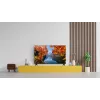 TCL 32V4C QLED-tv 32 inch (81,3 cm) HD 1366×768 Wi‑Fi Ethernet zwart