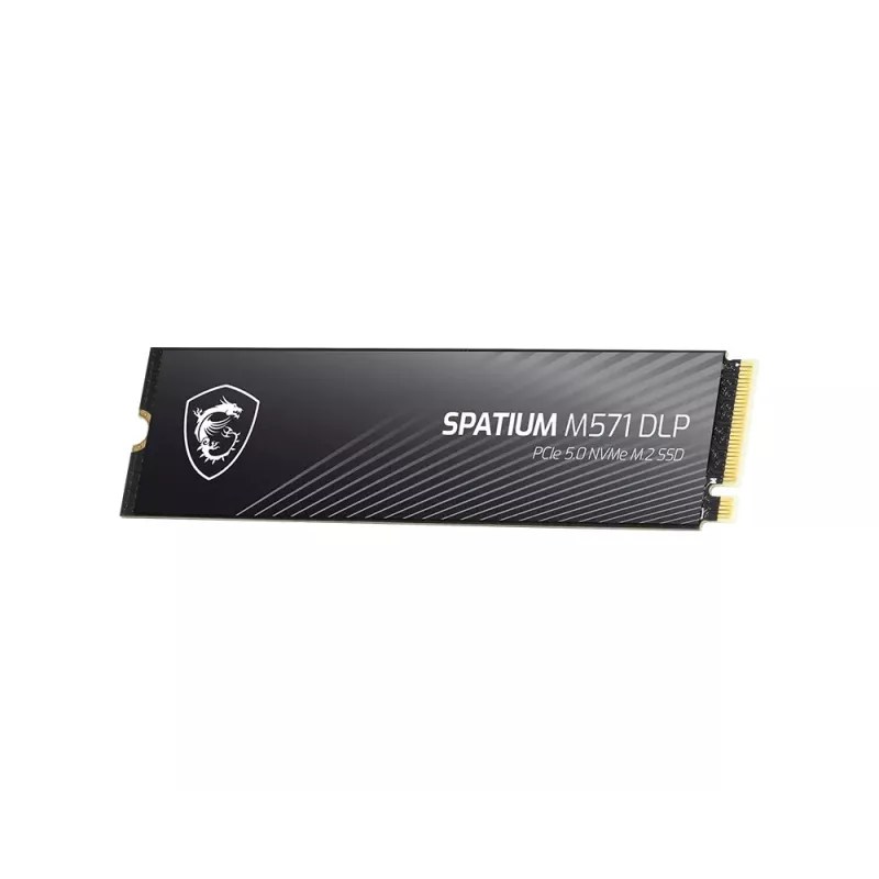 MSI SPATIUM M571 DLP PCIe 5.0 NVMe M.2 4T interne solid-state drive 4 TB PCI Express 5.0 3D NAND