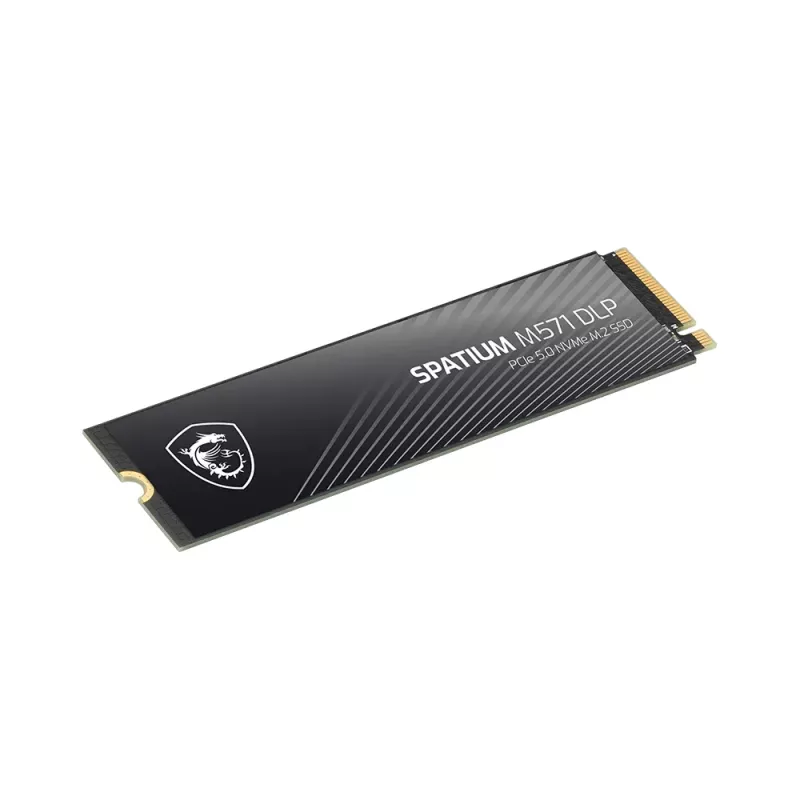 MSI SPATIUM M571 DLP PCIe 5.0 NVMe M.2 4T interne solid-state drive 4 TB PCI Express 5.0 3D NAND