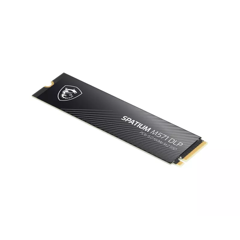 MSI SPATIUM M571 DLP PCIe 5.0 NVMe M.2 4T interne solid-state drive 4 TB PCI Express 5.0 3D NAND