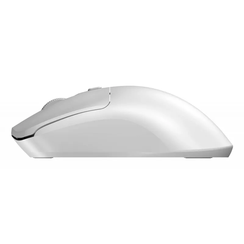 Sandberg draadloze muis Saver wit, voor beide handen, RF draadloos, 1600 DPI, wit