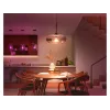 Philips Hue White and colour ambience A60 – E27 slimme lamp – 810