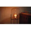 Philips Hue White and colour ambience A60 – E27 slimme lamp – 810