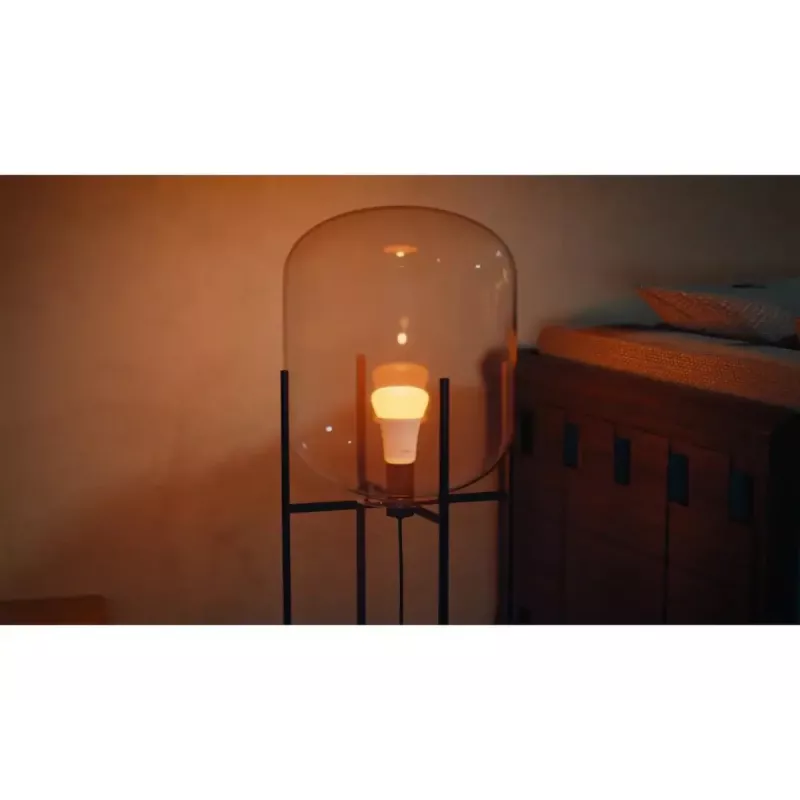 Philips Hue White and colour ambience A60 – E27 slimme lamp – 810