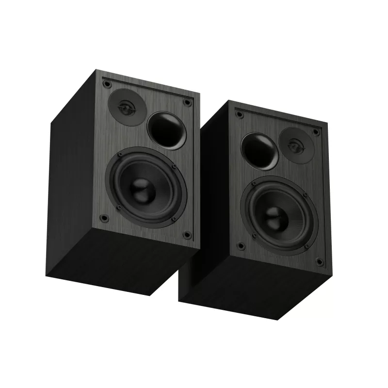 GENESIS NGS-2343 luidspreker zwart bedraad & draadloos 20 W