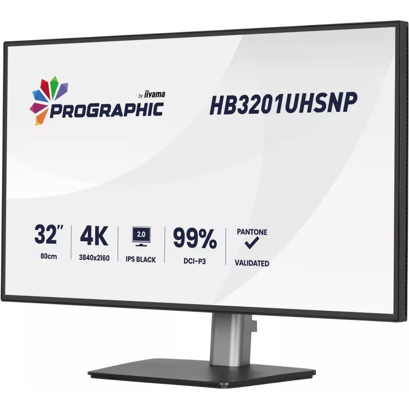 IIYAMA 32 inch ProGraphic HB3201UHSNP-B1 4K UHD IPS LCD-monitor met USB-C en DisplayPort