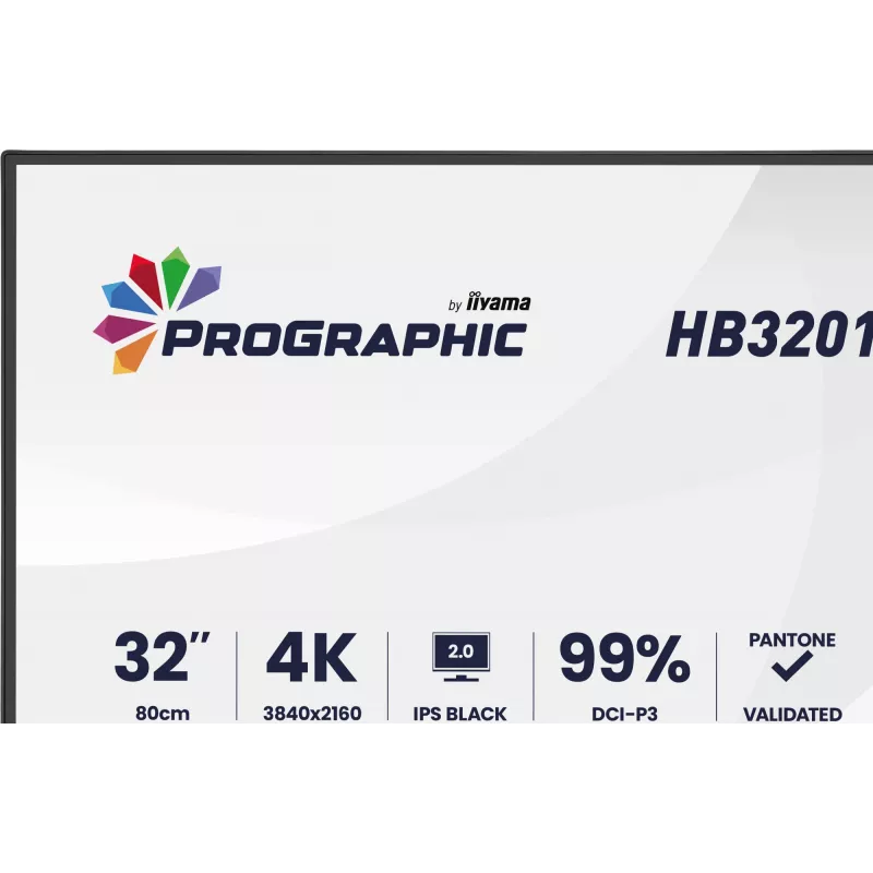 IIYAMA 32 inch ProGraphic HB3201UHSNP-B1 4K UHD IPS LCD-monitor met USB-C en DisplayPort