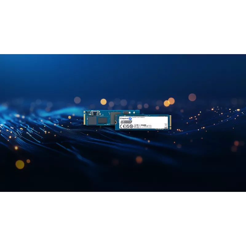 Kingston Technology 240G DC2000B PCIe 4.0 M.2 2280 Enterprise SSD (zonder koellichaam)
