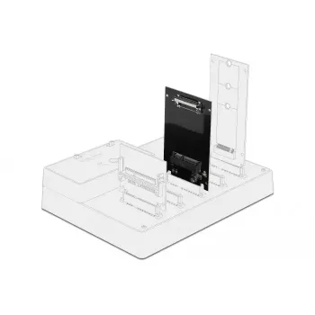SATA naar mSATA-adapter DeLOCK 64100