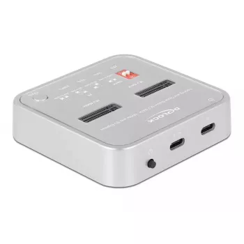 Dockingstation DeLOCK 64138