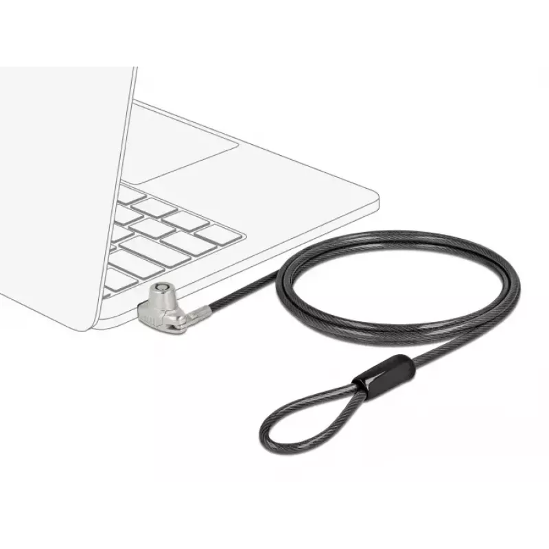 Veiligheidskabel DeLOCK 20691 HP Nano Slot koolstofstaal