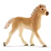 Dierenartspraktijk met dieren Schleich 42502