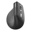 Muis Rapoo EV310M RF draadloos + Bluetooth