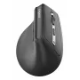 Muis Rapoo EV310M RF draadloos + Bluetooth
