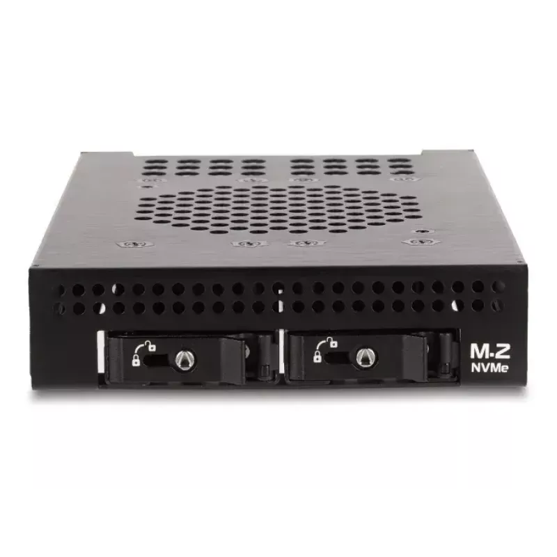 HDD Cage DeLOCK 47070 rack-compatibel metaal 100 mm breedte