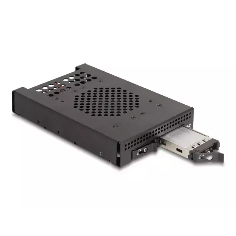 HDD Cage DeLOCK 47070 rack-compatibel metaal 100 mm breedte