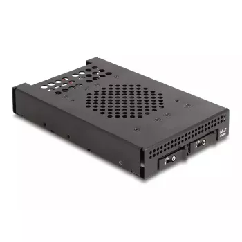 HDD Cage DeLOCK 47070 rack-compatibel metaal 100 mm breedte