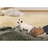 Schleich Galloway-koe 13960 zwart-wit aanbevolen leeftijd 3+