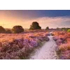 Puzzel Ravensburger Pink Pathway Nederland, 1000 stukjes, 700×? mm, 2 mm dik