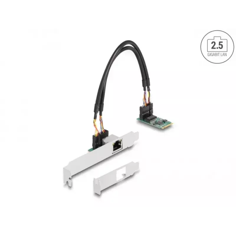 DeLOCK 95272 Interne netwerkkaart 2500 Mbit/s bedraad M.2 Ethernet