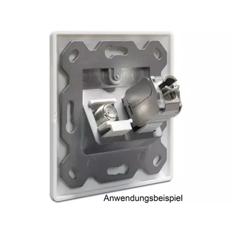 Inbouwdoos DeLOCK 86202