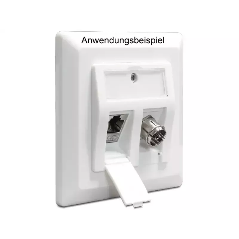 Inbouwdoos DeLOCK 86202
