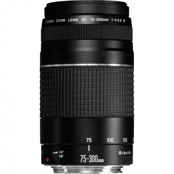 Canon EF 75-300mm f/4-5.6 III objectief
