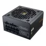 COUGAR voeding GR 750W ATX3.1/PCIE 5.1 / 80 Plus Gold, 750 W, 100 - 240 V, 50/60 Hz, 10 A, 100 W, 750 W