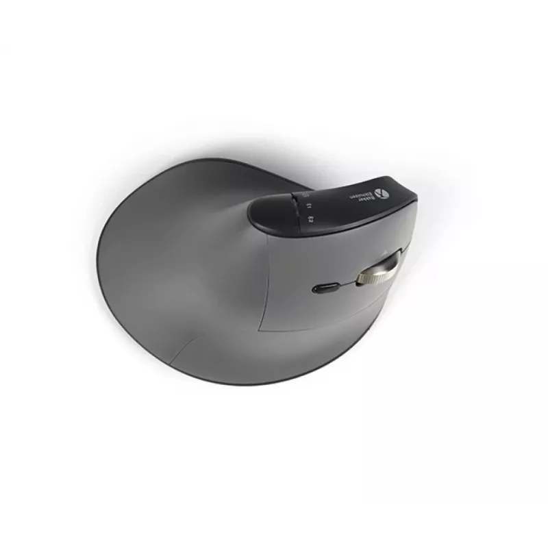BakkerElkhuizen FastForward Pro muis, rechtshandig, verticaal ontwerp, optisch, RF draadloos + Bluetooth + USB Type-C, 5000 DPI, zwart, grijs