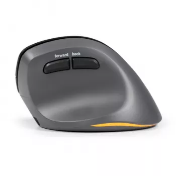 BakkerElkhuizen PRF Pro muis rechts, rechtshandig, verticaal design, optisch, RF draadloos + Bluetooth + USB Type-C, 2400 DPI, zwart, grijs