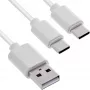 InLine 35121W USB-kabel USB 2.0 1 m USB A 2 x USB C wit