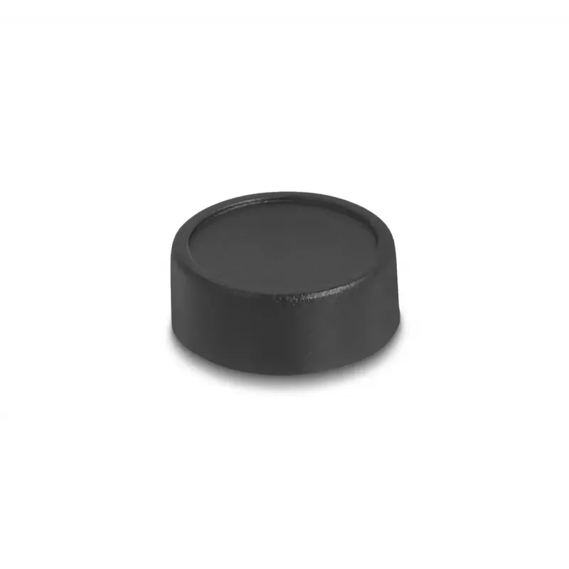 Webcam DeLOCK 12064 2.1 MP 1920 x 1080 USB 2.0 zwart