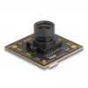 Webcam DeLOCK 12064 2.1 MP 1920 x 1080 USB 2.0 zwart