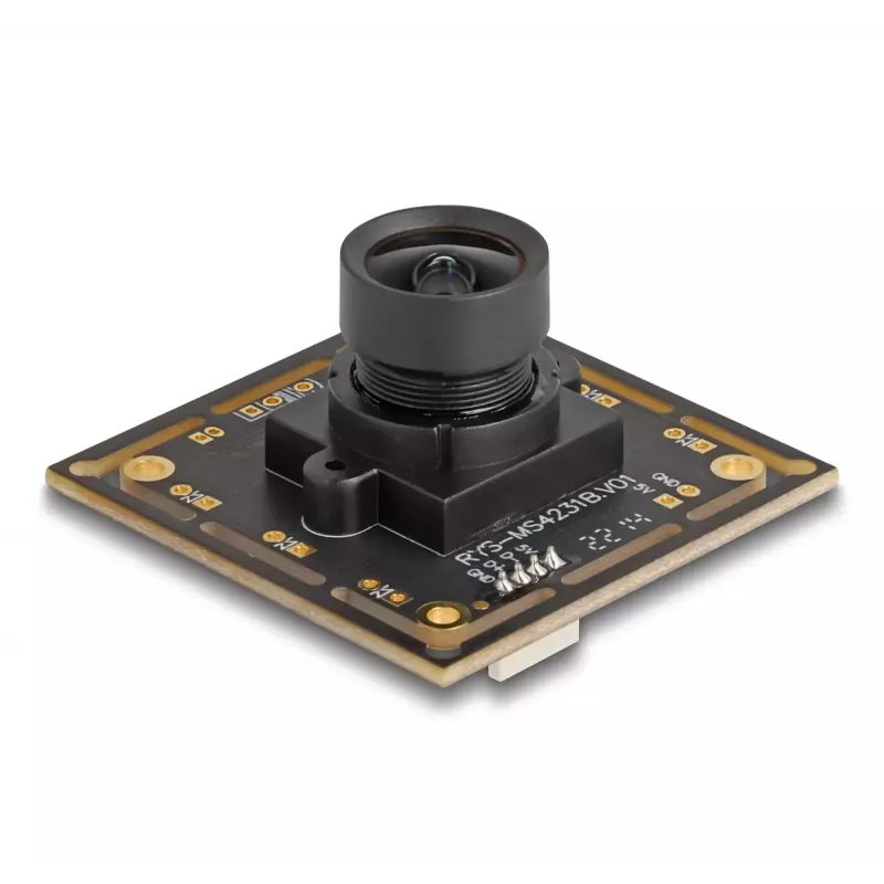 Webcam DeLOCK 12064 2.1 MP 1920 x 1080 USB 2.0 zwart