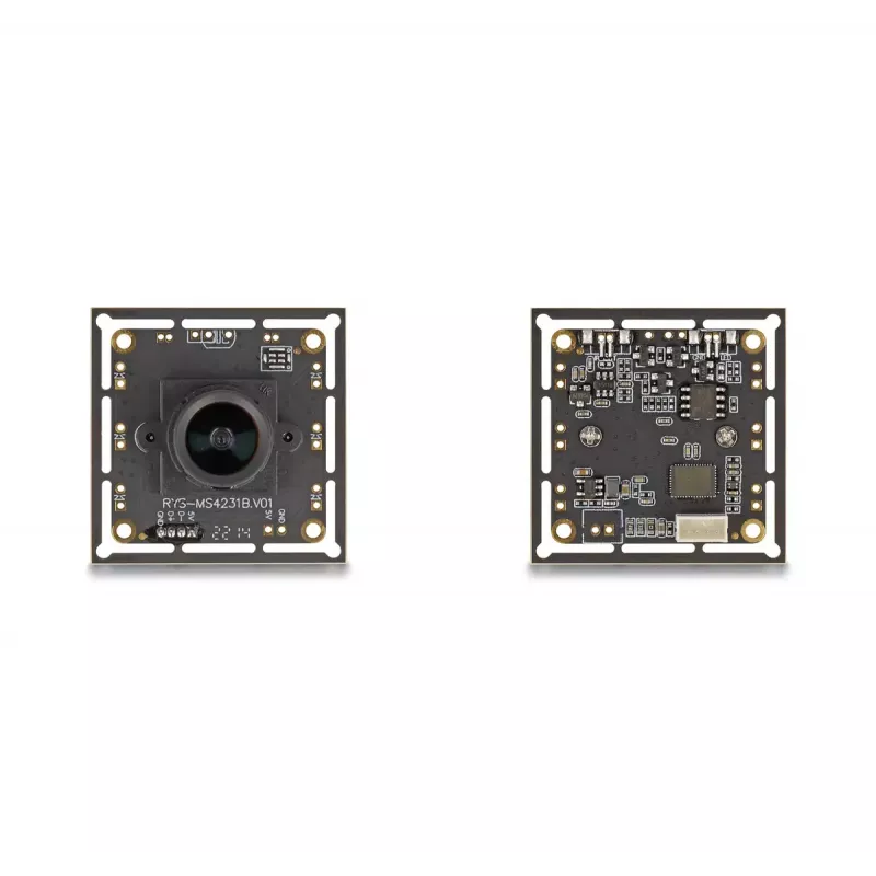 Webcam DeLOCK 12064 2.1 MP 1920 x 1080 USB 2.0 zwart