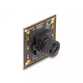 Webcam DeLOCK 12064 2.1 MP 1920 x 1080 USB 2.0 zwart