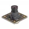 Webcam DeLOCK 12069 2.1 MP 1920 x 1080 pixel USB 2.0 zwart