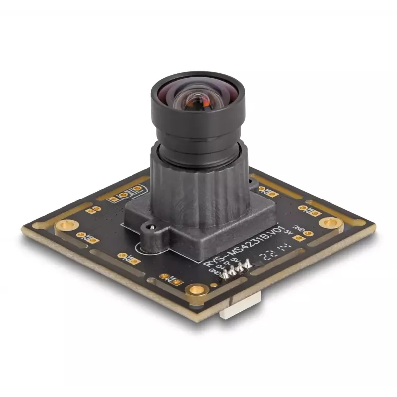 Webcam DeLOCK 12069 2.1 MP 1920 x 1080 pixel USB 2.0 zwart