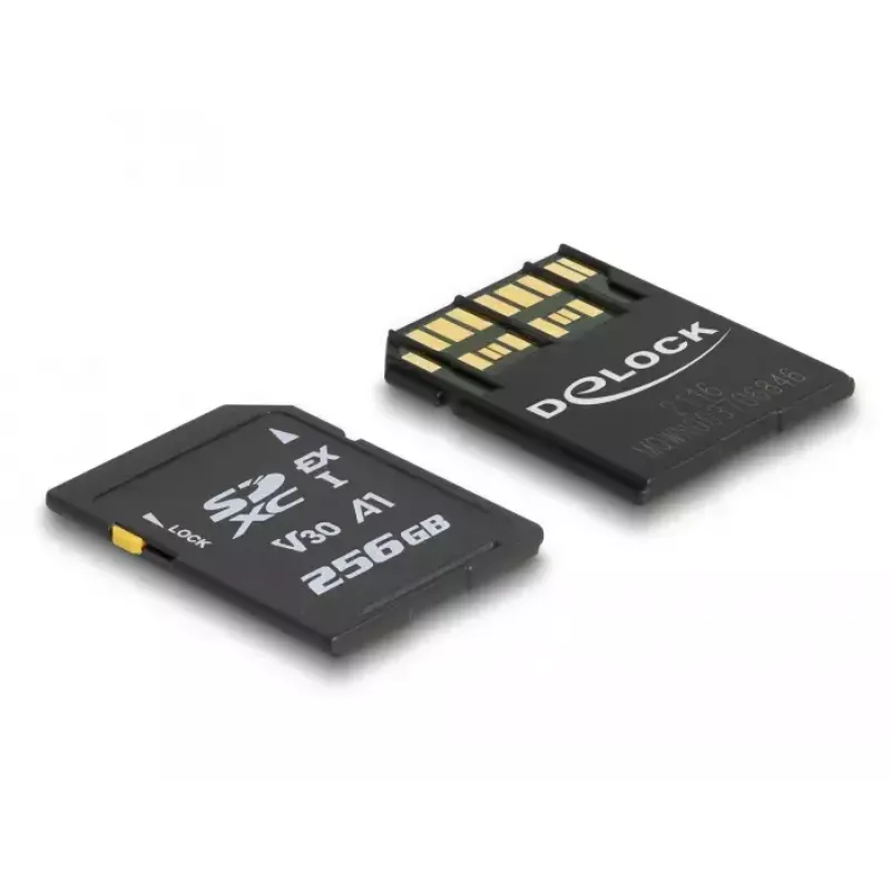 Geheugenkaart DeLOCK 256 GB SD UHS-I 54091