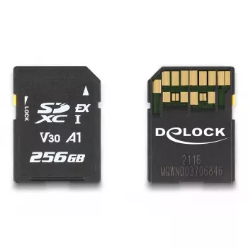 Geheugenkaart DeLOCK 256 GB SD UHS-I 54091