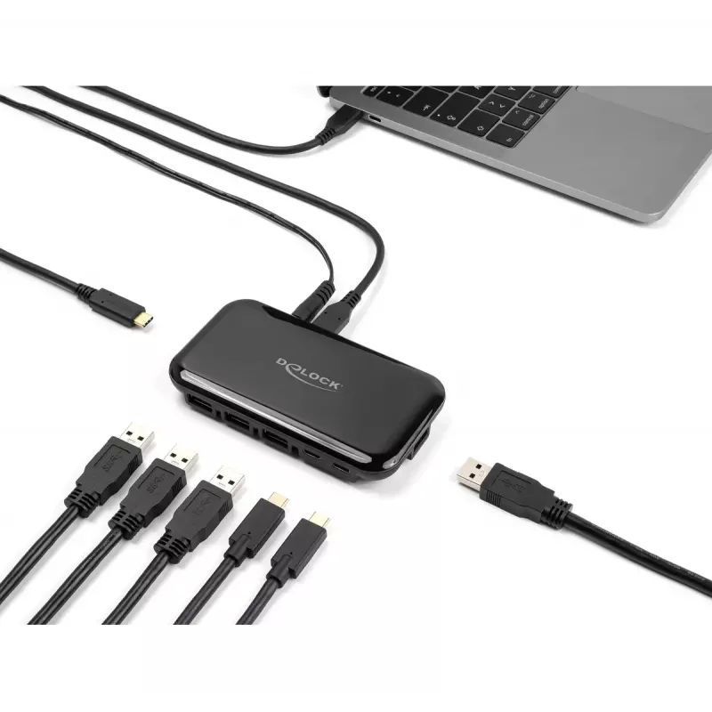 DeLOCK 64209 USB 3.2 Gen 2 Type-C-hub 10000 Mbit/s zwart