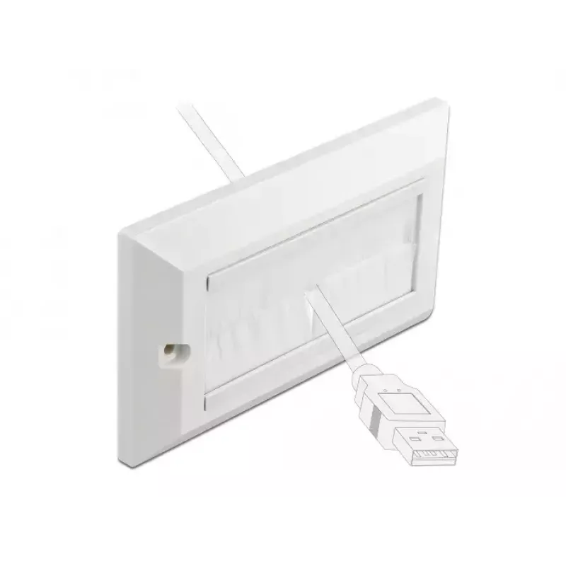 Wandplaat DeLOCK 66496 wit
